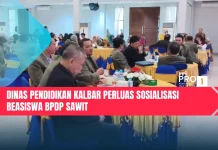 Dinas Pendidikan Kalbar Perluas Sosialisasi Beasiswa BPDP Sawit