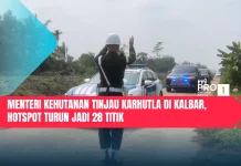 Menteri Kehutanan Tinjau Karhutla di Kalbar, Hotspot Turun Jadi 28 Titik