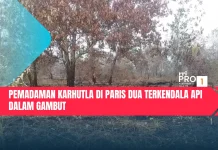 Pemadaman Karhutla di Paris Dua Terkendala Api Dalam Gambut