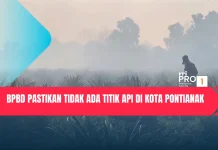 BPBD Pastikan Tidak Ada Titik Api di Kota Pontianak