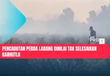 Pencabutan Perda Ladang Dinilai Tak Selesaikan Karhutla