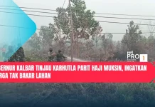 Gubernur Kalbar Tinjau Karhutla Parit Haji Muksin, Ingatkan Warga Tak Bakar Lahan