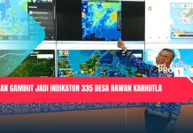Lahan Gambut Jadi Indikator 335 Desa Rawan Karhutla
