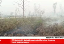 PT Hartindo Uji Serbuk Pemadam Api Berbahan Singkong untuk Karhutla Gambut