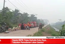 Kepala BNPB Tinjau Karhutla Kubu Raya, Tekankan Pemadaman Lahan Gambut