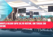 Karhutla Kalbar Capai 38.310 Hektare, Kini Tersisa 200 Hektare