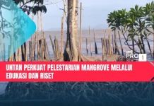 Untan Perkuat Pelestarian Mangrove melalui Edukasi dan Riset