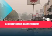 Walhi Soroti Karhutla Gambut di Kalbar