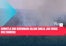 Karhutla dan Kekeringan Kalbar Dinilai Jadi Krisis Multidimensi