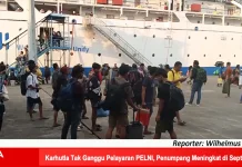 Karhutla Tak Ganggu Pelayaran Pelni, Penumpang Meningkat di September