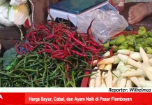 Harga Sayur, Cabai, dan Ayam Naik di Pasar Flamboyan