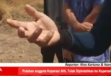 Puluhan anggota Koperasi AHL Tolak Dipindahkan ke Koperasi ALB
