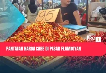 Pantauan Harga Cabai di Pasar Flamboyan