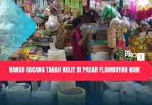 Harga Kacang Tanah Kulit di Pasar Flamboyan Naik