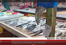 Harga Ikan di Pontianak Terus Melonjak