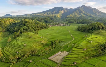 Pertanian Modern Jadi Fokus, Banyumas Siap Dukung Peningkatan Produksi