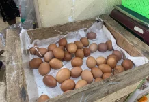 Awal Ramadan, Harga Telur Tembus Rp 31 Ribu