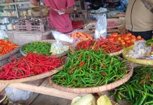 Harga Pangan Tak Stabil Dampak Cuaca Ekstrem