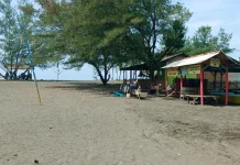 Wisatawan Pantai Cemara Sewu Meningkat Selama Periode Libur Lebaran