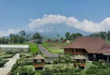 Purbalingga Masuk 10 Besar Kunjungan Wisata Jateng, D’Las Serang Jadi Primadona