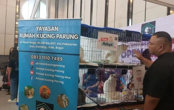 Bekasi Pet Expo 2026 Jadi Daya Tarik Pecinta Hewan Peliharaan di Bekasi