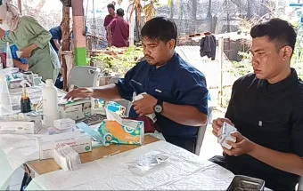 Sterilisasi Tekan Populasi Kucing Untung Jawa