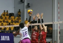 Popsivo Polwan Amankan Tiket Final Four Proliga 2026