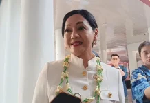 OJK Sambut Baik Terpilihnya Destry Damayanti sebagai Gubernur BI