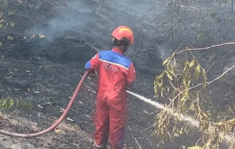 Karhutla 13 Hektare Terjadi di Bukit Soeharto