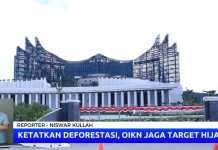Ketatkan Deforestasi, OIKN Jaga Target Hijau