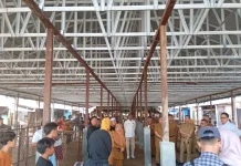 Pemkot Samarinda Rampungkan Penanganan Darurat Pasar Segiri