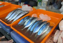 Harga Ayam dan Ikan Naik di Pasar Kemuning Loa Bakung, Penjualan Sayur Ikut Lesu