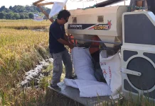 Harga Gabah Stabil, Bulog Samarinda Terus Serap Hasil Panen di Sentra Produksi