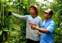 Desa Karang Tunggal Kukar Siapkan Regenerasi Petani, Gandeng Tiga Profesor IPB