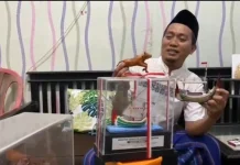 Limbah Kayu Disulap Jadi Miniatur Kapal