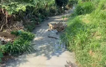 Limbah Pabrik Diduga Cemari Sungai Langgenharjo, Warga Tunggu Langkah Pemerintah