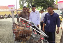 Pemberdayaan Masyarakat, BPR BKK Lasem Salurkan Bantuan Ayam Petelur