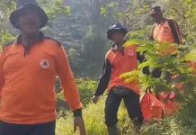 Kerangka Manusia Ditemukan di Hutan Gembong Pati, Warga Geger