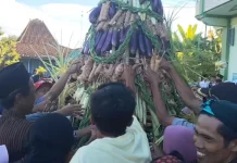 Tradisi Kupatan Kadilangu Pati Hadirkan Rebutan Gunungan