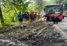Kecelakaan Kembali Terjadi di Jalan Purworejo-Magelang, Satu Pengendara Tewas