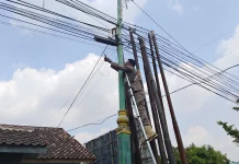 Satpol PP Rembang Tertibkan Kabel WIFI yang Semrawut dan Membahayakan