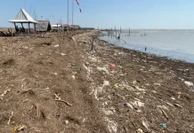 Pantai Bulumanis Kidul Tertutup Sampah dan Limbah