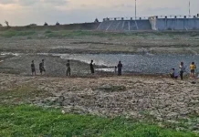 Sungai Silugonggo Mengering, Ratusan Hektar Tanaman Padi Terancam Puso