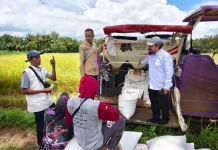 Panen Raya Awal Musim Tanam Desa Legung Barat Dipantau Kementan