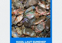 Hasil Laut Sumenep Tembus Pasar Internasional