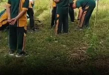 IPARI Sumenep Tanam Ribuan Pohon Serentak
