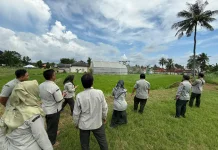 Kementan RI Melatih Penyuluh Pertanian Sumenep Modernisasi Pertanian