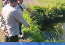 Tiga Bocah Kakak Beradik Tewas Tenggelam di Embung Sampang