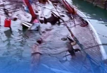 Kapal Bermuatan Pohon Jati Nyaris Tenggelam di Pelabuhan Kalianget