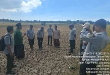 Penyuluh Sebarkan Teknologi PMAAS